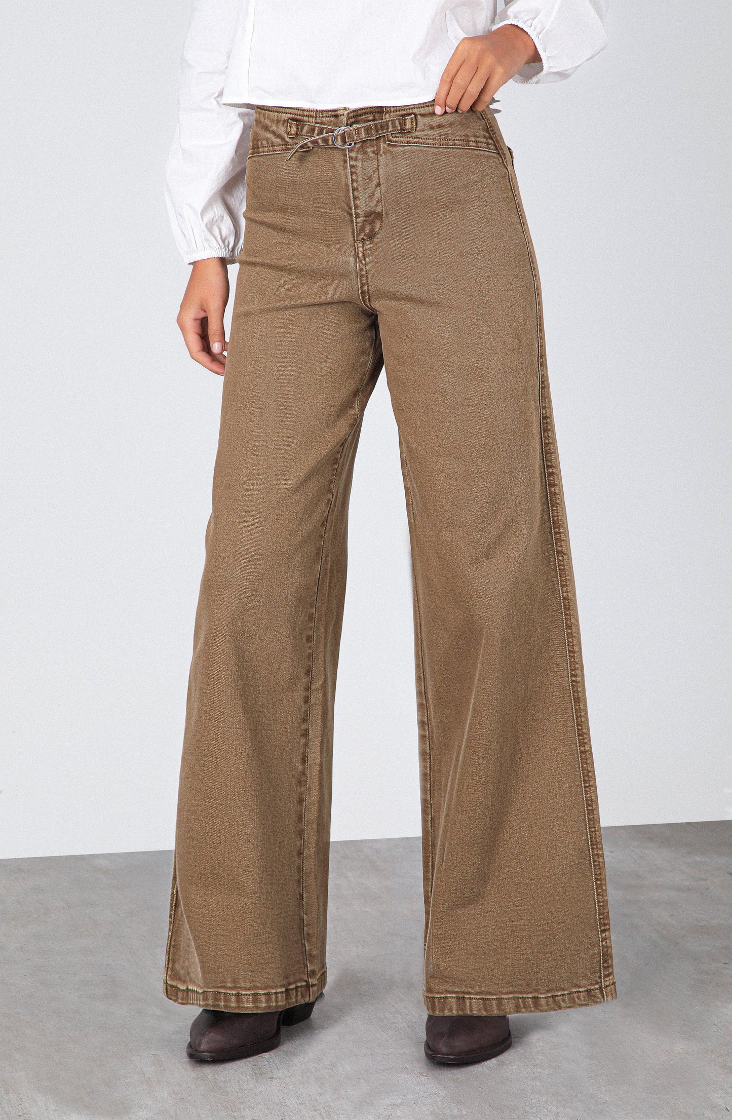 Brown Fitted Waistband Pants