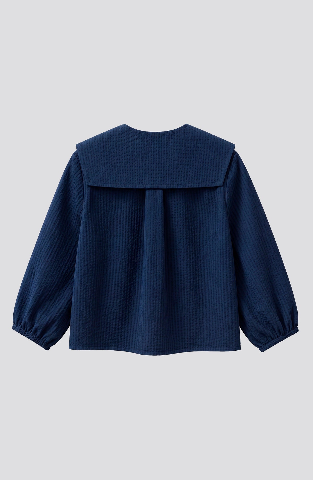 Blue Gingham Peter Pan Collar Blouse